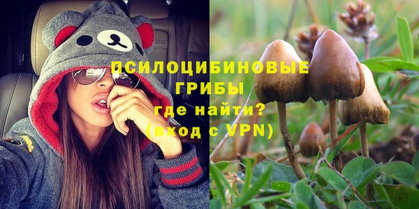 твердый Бронницы